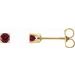 14K Yellow Natural Ruby Youth Earrings