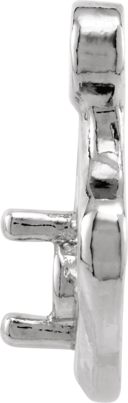 Accented Earring Jackets