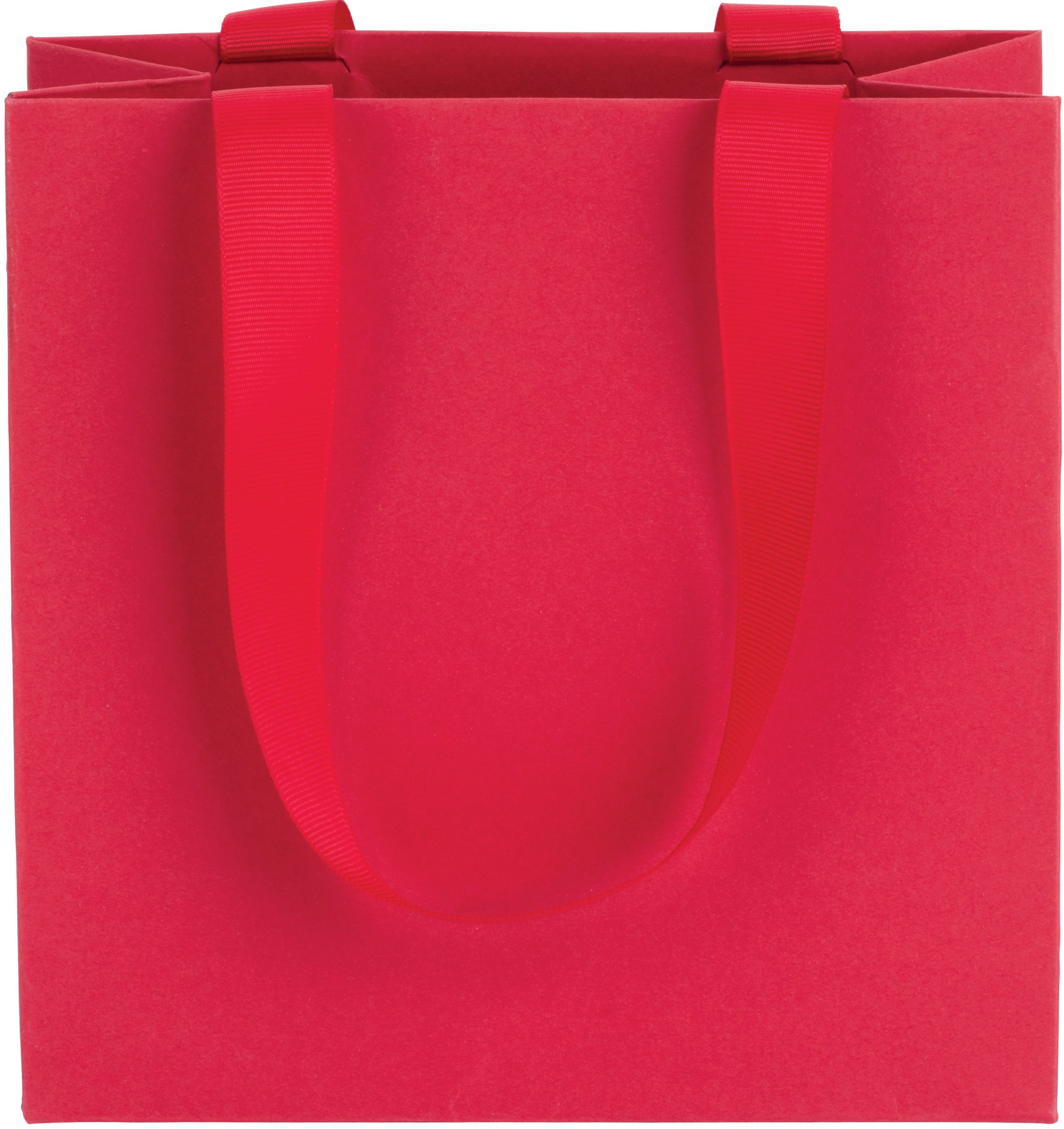 Ribbon Handle Collection Matte Paper Gift Bags