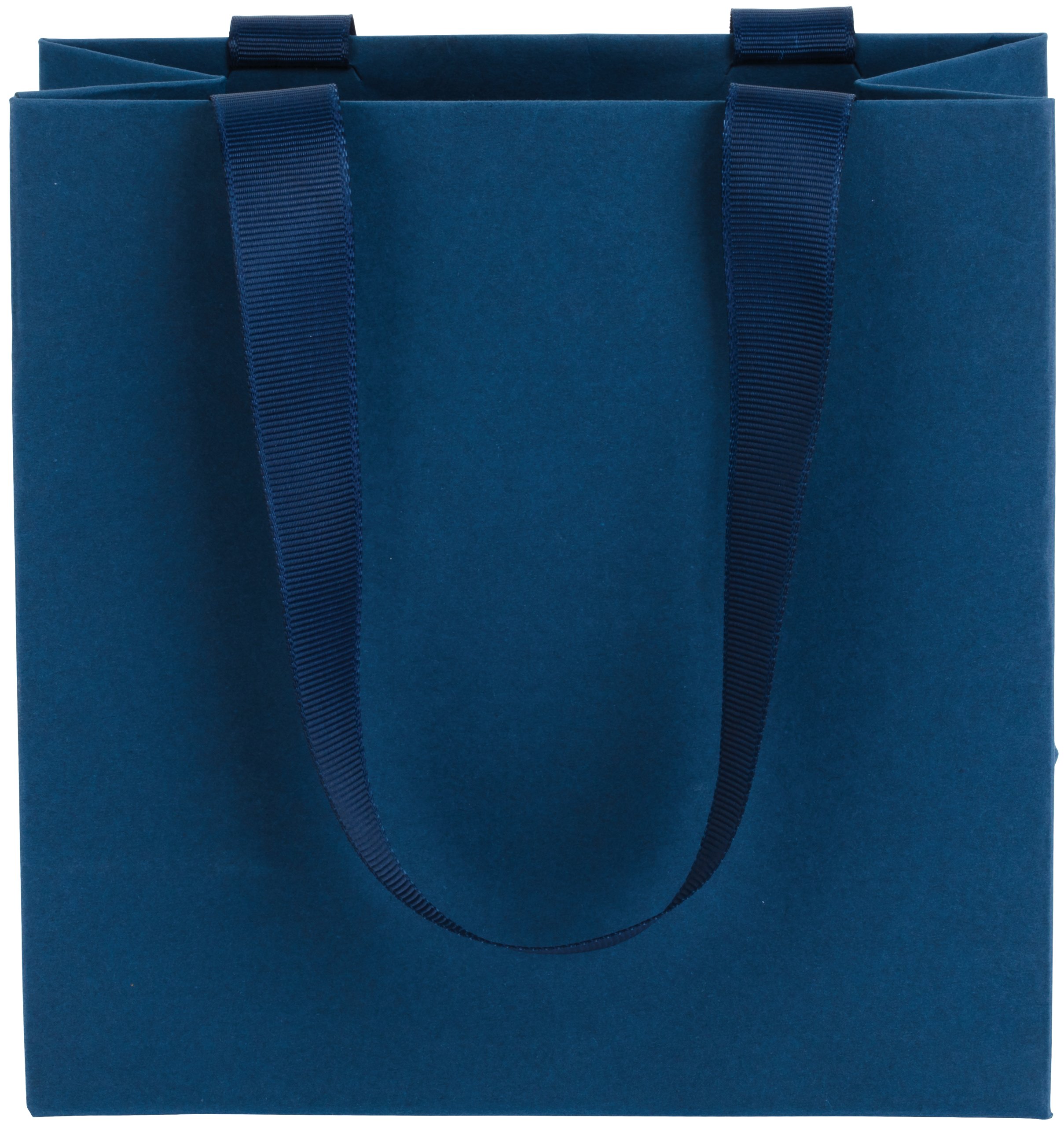 Ribbon Handle Collection Matte Paper Gift Bags