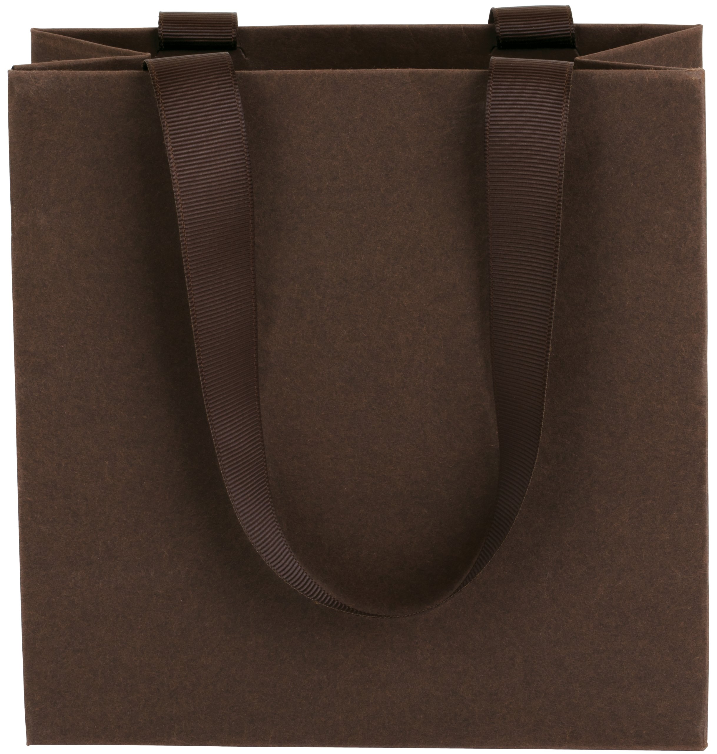 Ribbon Handle Collection Matte Paper Gift Bags