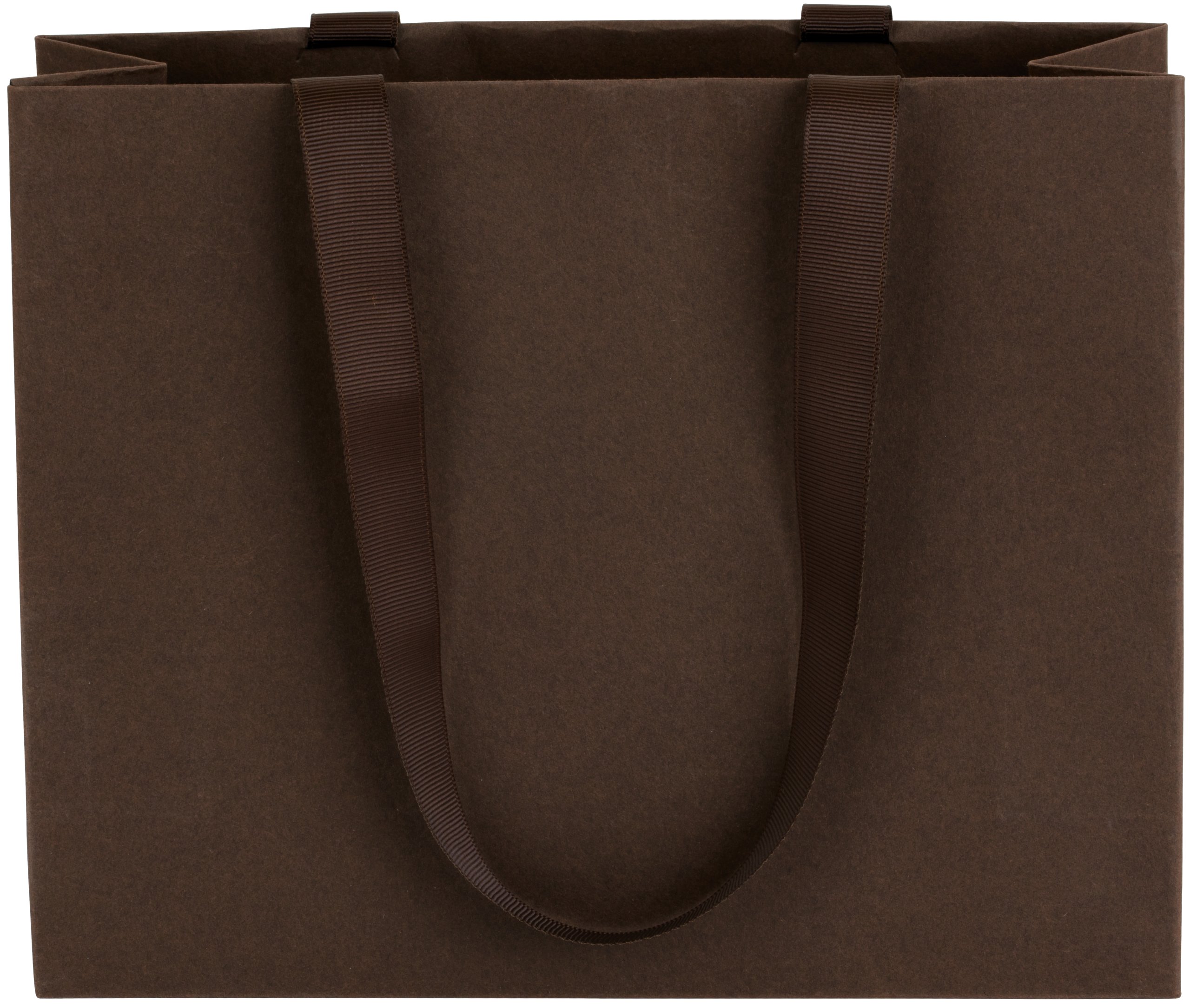 Ribbon Handle Collection Matte Paper Gift Bags
