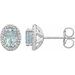 Sterling Silver Natural Aquamarine & .025 CTW Natural Diamond Earrings