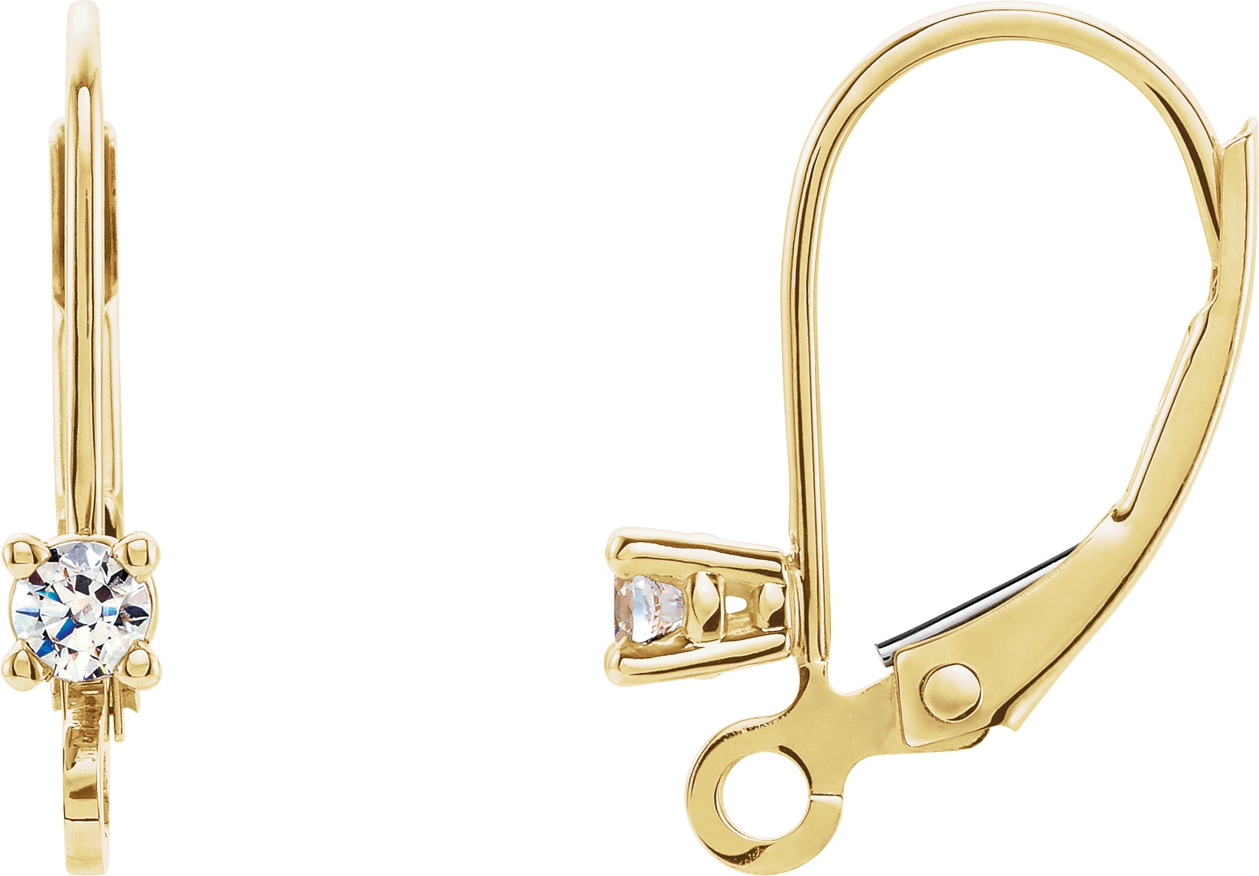 Accented Lever Back Earring Top