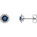 14K White 4.5 mm Natural Blue Sapphire & 1/10 CTW Natural Diamond Earrings