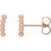 14K Rose Curved Beaded Earrings