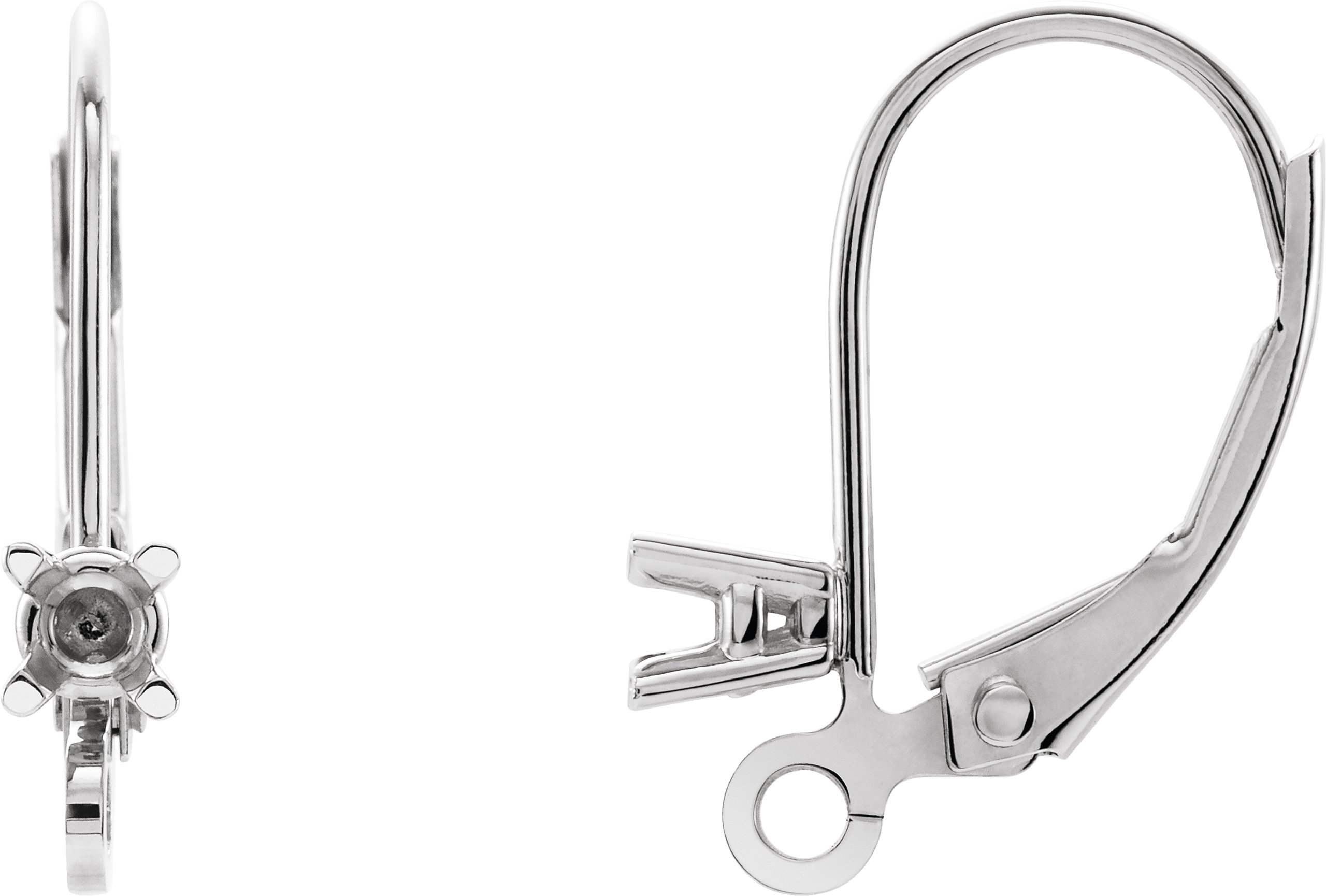 Accented Lever Back Earring Top