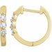 14K Yellow 1/4 CTW Natural Diamond Hoop Earrings  