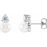 Accented Pearl Earrings    