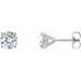 14K White 1 1/2 CTW Lab-Grown Diamond 4-Prong Stud Earrings