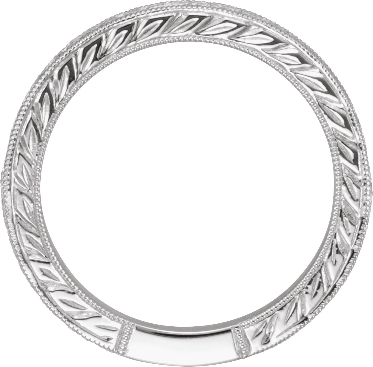 14K White 1/4 CTW Diamond Anniversary Band  