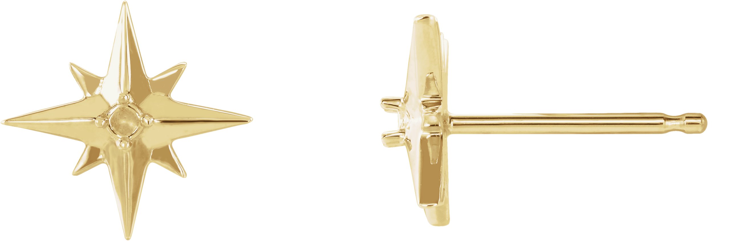 Accented Star Earrings
