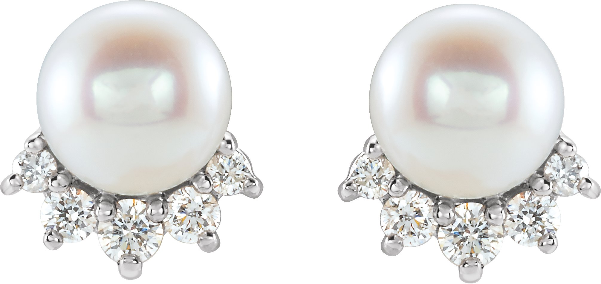 14K White Cultured White Freshwater Cultured Pearl & .08 CTW Natural Diamond Earrings   