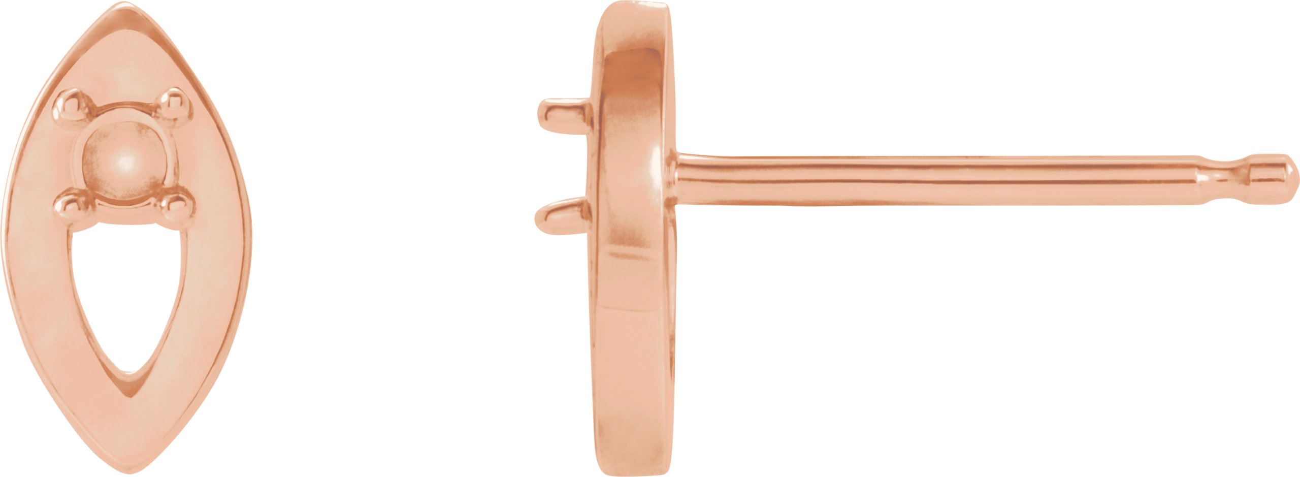 Accented Earrings