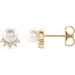 14K Yellow Cultured White Freshwater Cultured Pearl & .08 CTW Natural Diamond Earrings   