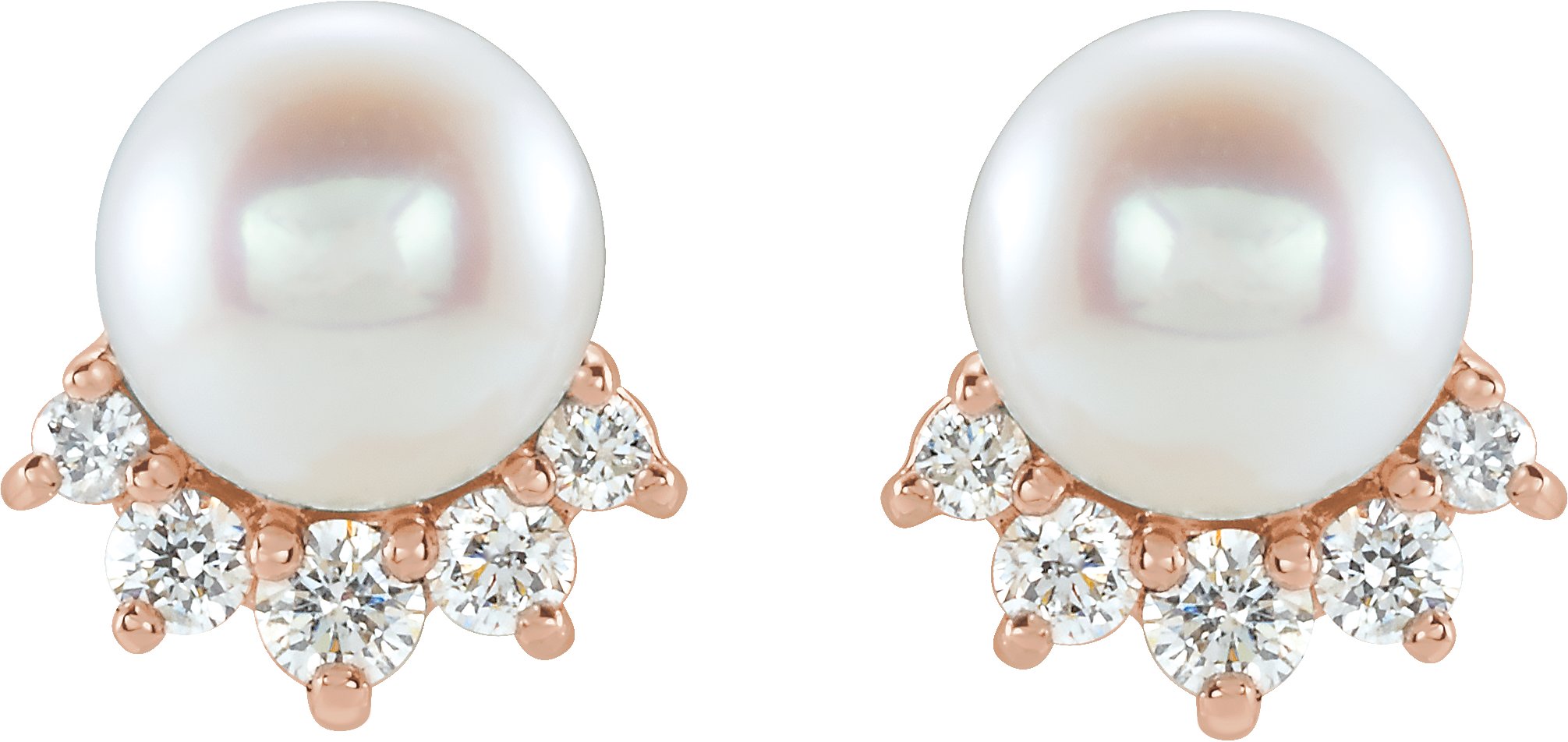 14K Rose Cultured White Freshwater Cultured Pearl & .08 CTW Natural Diamond Earrings   