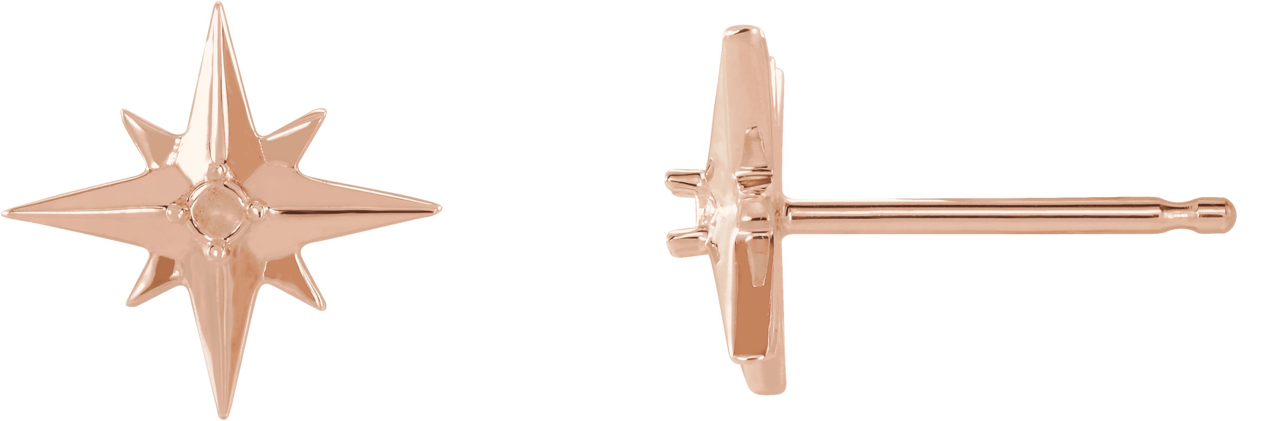 Accented Star Earrings