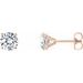 14K Rose 1/2 CTW Lab-Grown Diamond 4-Prong Stud Earrings