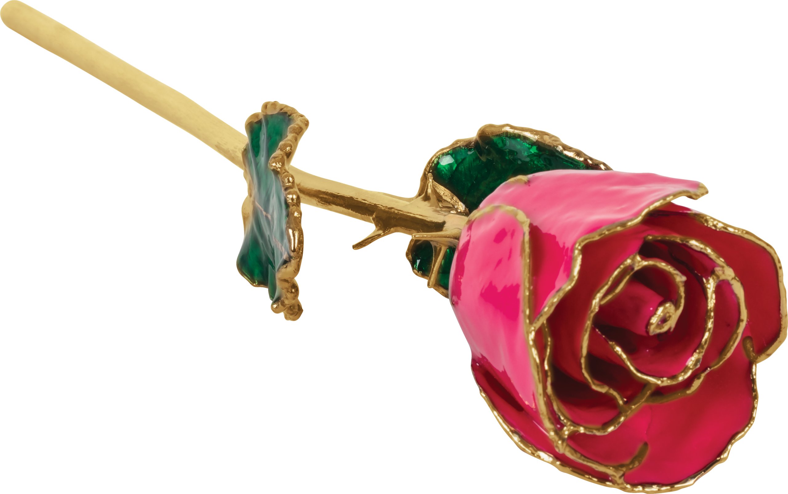 Lacquered Magenta Rose with Gold Trim    