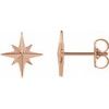 14K Rose Star Earrings Ref. 13488054