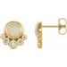 14K Yellow Natural Opal & 1/8 CTW Natural Diamond Earrings