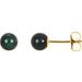 14K Yellow 5 mm Cultured Black Akoya Pearl Earrings