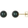14K Yellow 7 mm Black Akoya Cultured Pearl Earrings Ref. 1789653