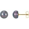 14K Yellow Freshwater Cultured Black Button Pearl Earrings Ref. 1745335
