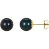 14K Yellow 8 mm Black Akoya Cultured Pearl Earrings Ref. 1913537