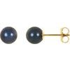 14K Yellow 6 mm Black Akoya Cultured Pearl Earrings Ref. 1834677