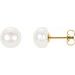 14K Yellow 8 mm Cultured White Freshwater Pearl Stud Earrings