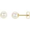 Panache Freshwater Cultured Pearl Earrings 6.5 to 7mm Ref 721871