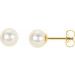 14K Yellow 6.5-7 mm Panache® Freshwater Cultured Pearl Earrings