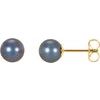14K Yellow 6.5 7 mm Black Freshwater Cultured Pearl Earrings Ref. 1745293