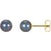 14K Yellow 6.5-7 mm Cultured Black Freshwater Pearl Earrings