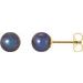 14K Yellow 5.5-6 mm Cultured Black Freshwater Pearl Earrings