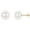 14K Yellow 10 mm to 11 mm Freshwater Cultured Pearl Earrings Ref. 2745964