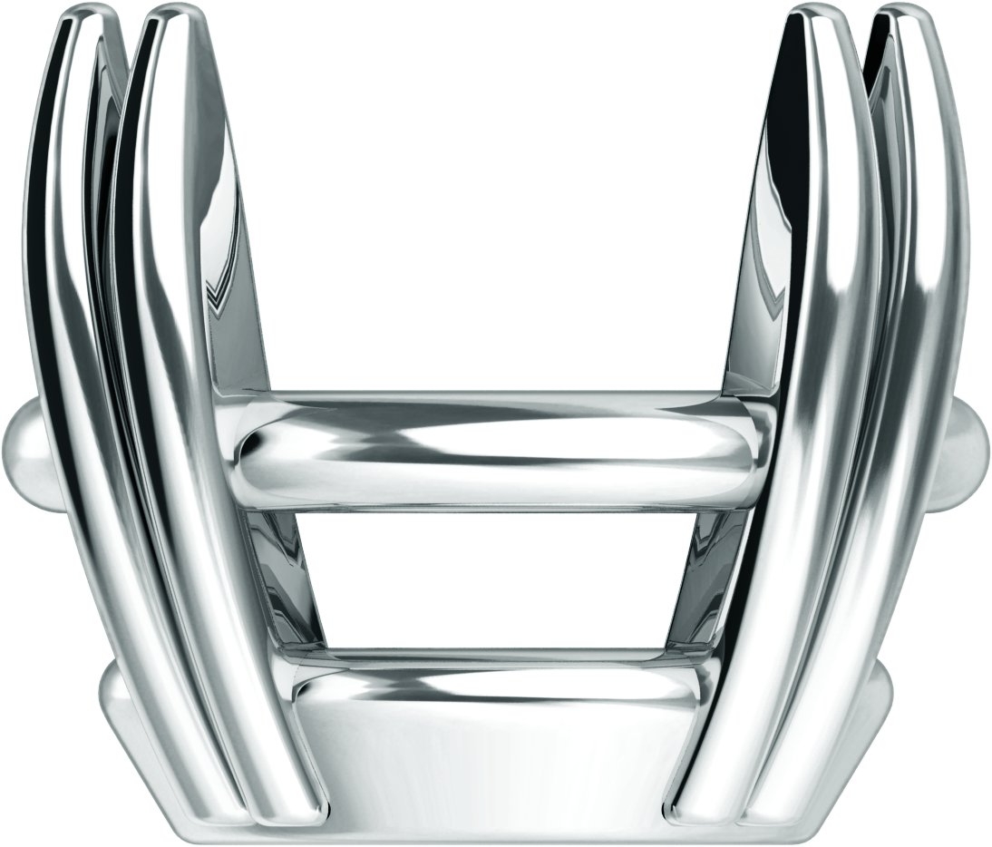 Double-Claw Prong Basket Setting