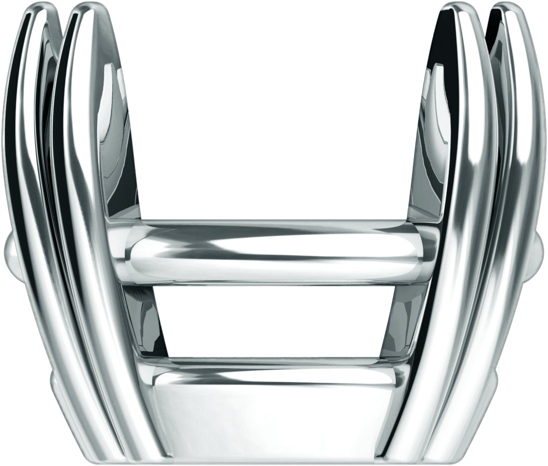 Double-Claw Prong Basket Setting