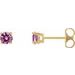 14K Yellow 4 mm Natural Pink Sapphire Stud Earrings