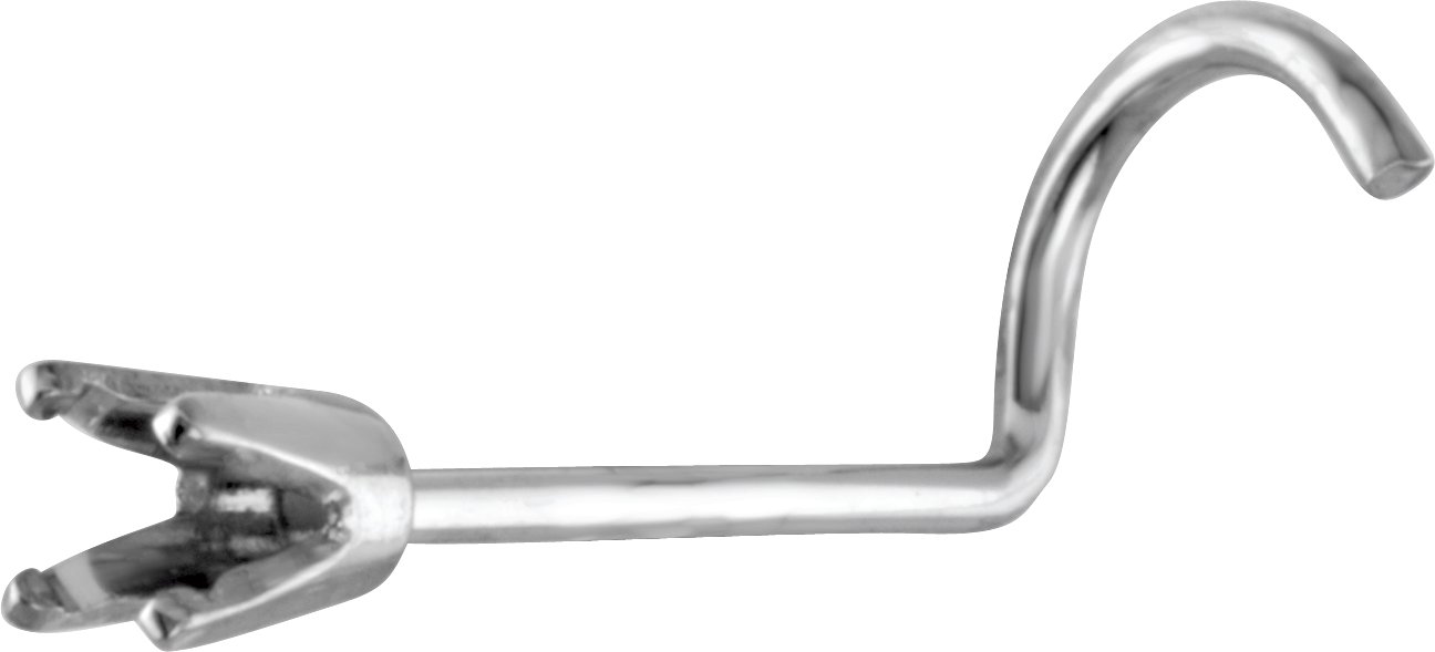 Accented Curved Nose Stud