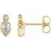 14K Yellow 1/3 CTW Natural Diamond Bezel-Set Earrings 