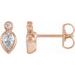 14K Rose 1/3 CTW Natural Diamond Bezel-Set Earrings 