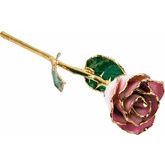 Lacquered Cream Pink Rose with Gold Trim  