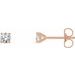 14K Rose 1/4 CTW Natural Diamond Cocktail-Style Earrings