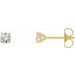 14K Yellow 1/4 CTW Natural Diamond 4-Prong Cocktail-Style Earrings