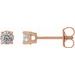 14K Rose 1/3 CTW Natural Diamond Stud Earrings with Friction Post