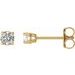 14K Yellow 1/5 CTW Natural Diamond Stud Earrings with Friction Post