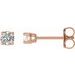 14K Rose 1/4 CTW Natural Diamond Stud Earrings