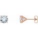 14K Rose 3/4 CTW Natural Diamond Cocktail-Style Earrings